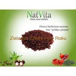Suszone owoce berberysu "Polska cytryna" niesiarkowane 100 g NatVita
