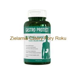 Gastro Protect 80 kapsułek