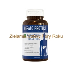 Hepato Protect 60 kapsułek