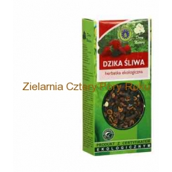 Herbata Dzika śliwka 100g DARY NATURY