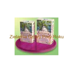 Ksylitol – naturalny słodzik 500g