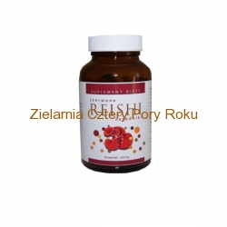 Reishi Organiczne Zarodki Najbardziej wartościowa część Reishi 90 kapsułek