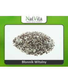 Błonnik witalny Babka płesznik Babka jajowata sklep 270 g