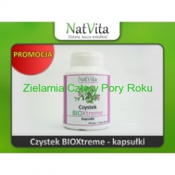 Czystek w kapsułkach Czystek kapsułki Czystek 100% ekstrakt 100 kapsułek Natvita