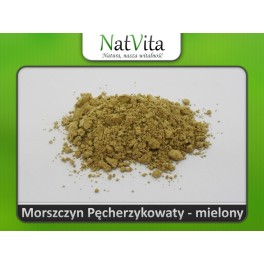 Morszczyn pęcherzykowaty w proszku odchudzanie