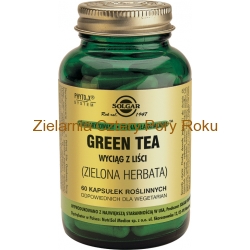 Zielona herbata (Green Tea) wyciąg z liści Solgar 60 kapsułek