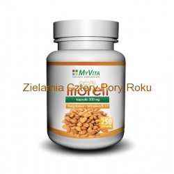 Pestki moreli w kapsułkach Gorzkie jądra pestek moreli kasułki 300 mg Amigdalina Letril B17 250 szt MyVita 