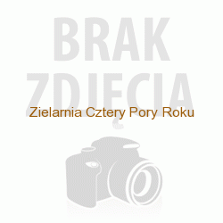 APIS APIDENT pasta do zębów z minerałami i świeżą miętą bez fluoru 100ml