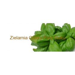 Bazylia 15 g