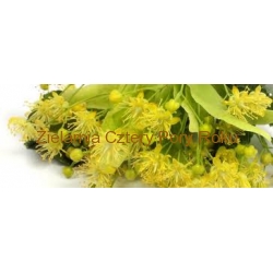 Kwiat lipy Lipa Kwiatostan lipy 50 g