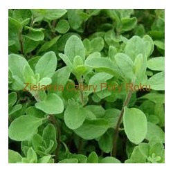 Majeranek otarty 50 g