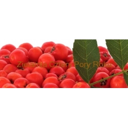 Owoc głogu Głóg Właściwości 50 g