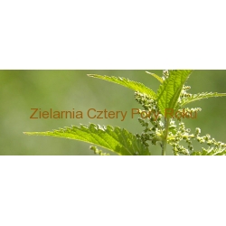 Pokrzywa Liść pokrzywy 50 g