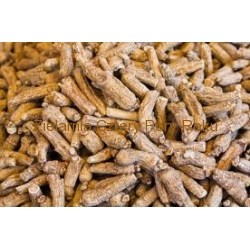Żeń szeń syberyjski - skrawki korzeni 50 g